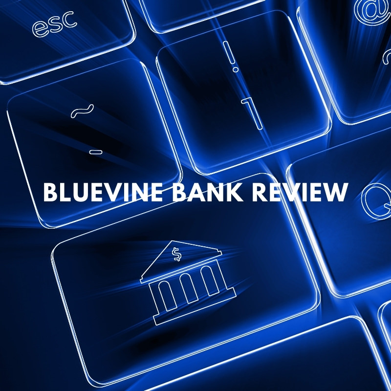 bluevine bank
