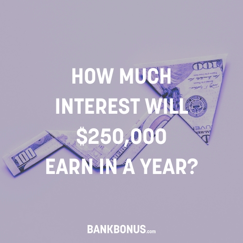 how much interest will $250000 earn in a year